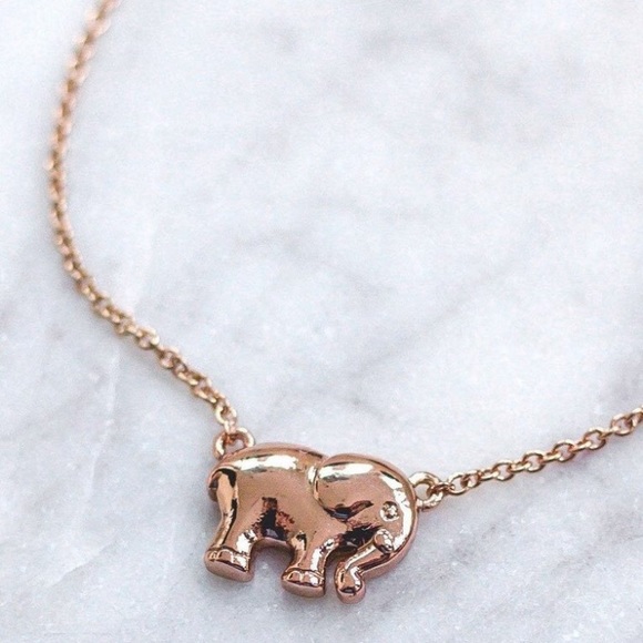 ivory ella Jewelry - Ivory Ella  NWOT charm necklace